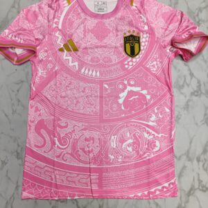 ITALY PINK JERSEY MASTER COPY 24/25